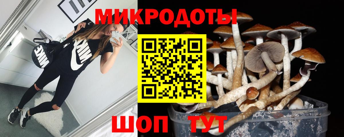 Ачхой-Мартан  Псилоцибиновые грибы мухоморы  Вход с VPN 